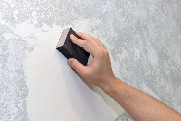 Environmental Consulting for Mold Prevention in La Honda, CA