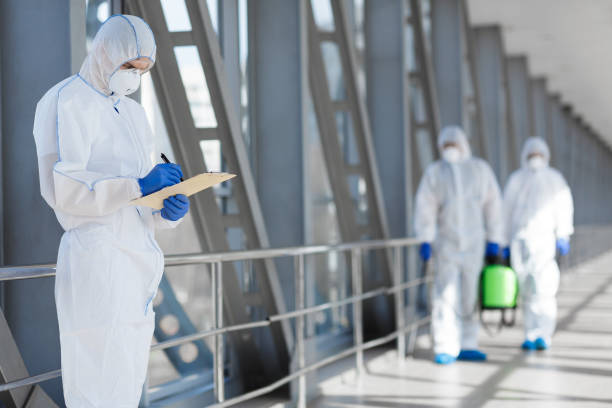 Mold Removal for HVAC Installations in La Honda, CA