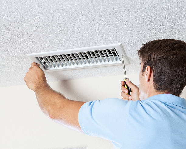 Trusted La Honda, CA Mold Removal Experts